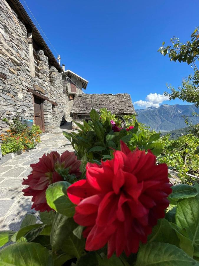Casa Vacanze La Carbunera Villa Domodossola Eksteriør bilde